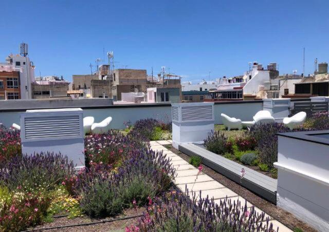 Apartamento Zen Garden Las Palmas de Gran Canaria Exterior foto