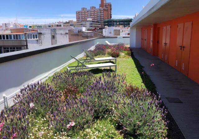 Apartamento Zen Garden Las Palmas de Gran Canaria Exterior foto